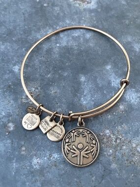Alex and Ani Energy Mental Health Resilience Bronze Charm Bracelet